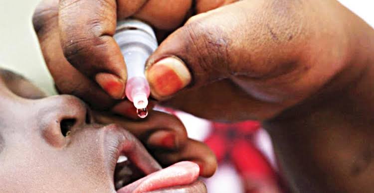 Borno to conduct polio vaccination exercise across 27 LGAs